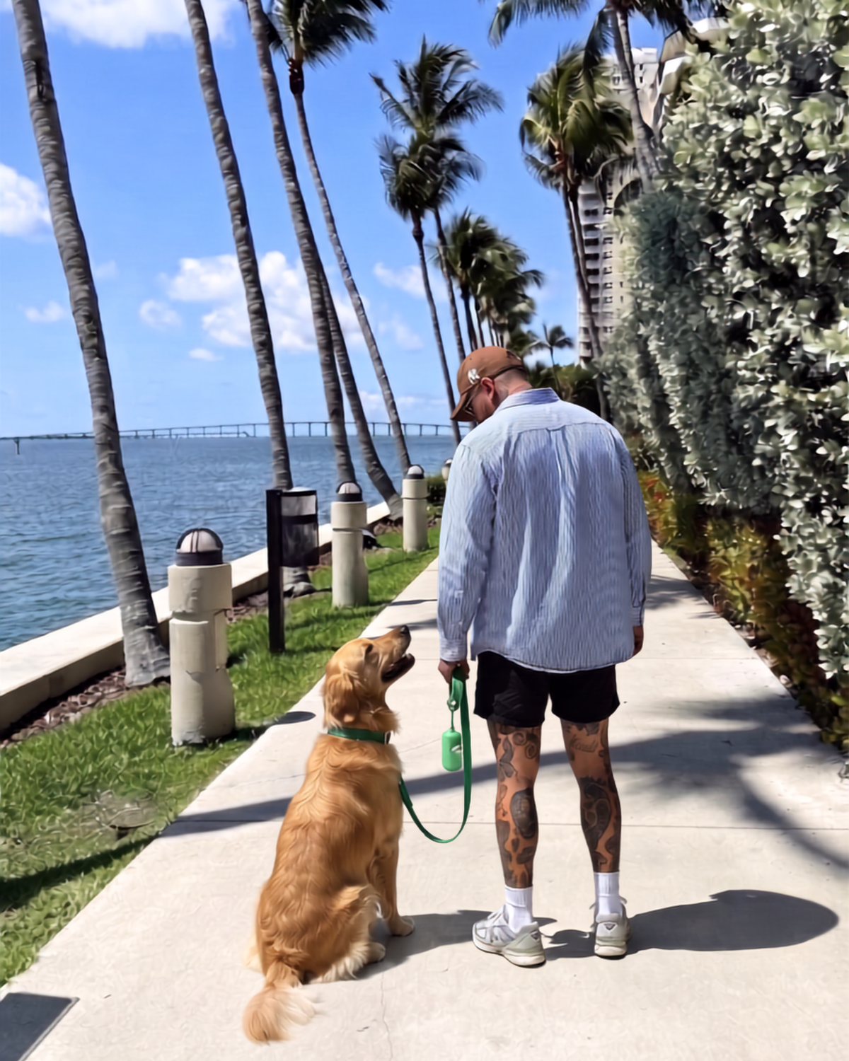 Walk Essentials