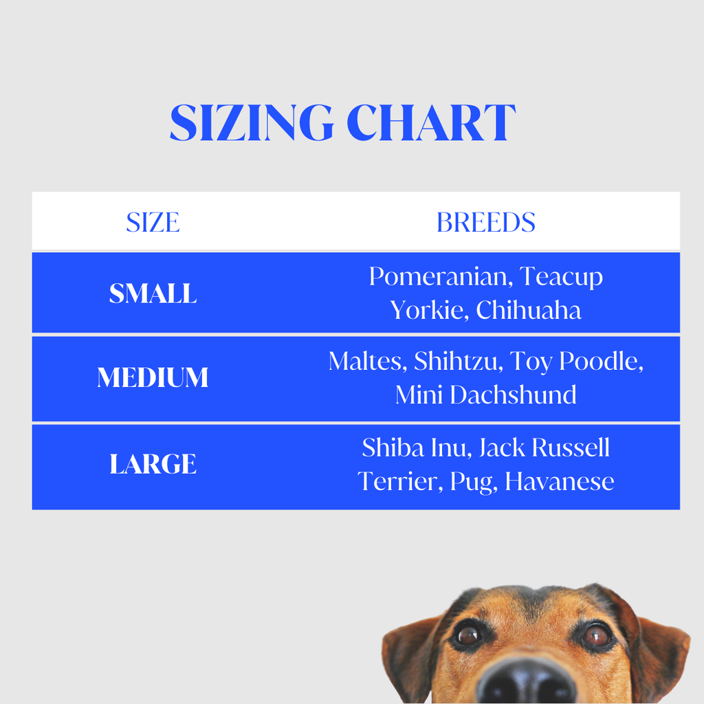 Dogs Carrier →