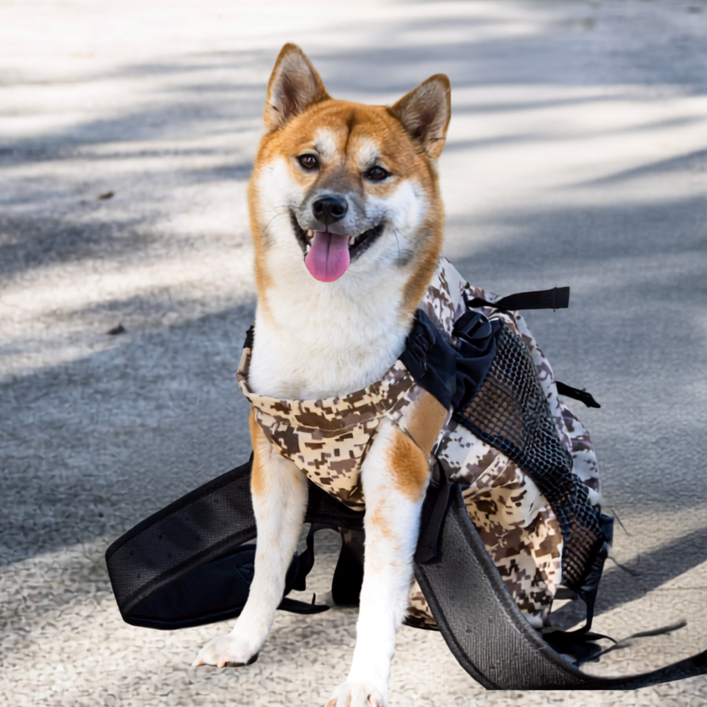 Dogs Carrier →