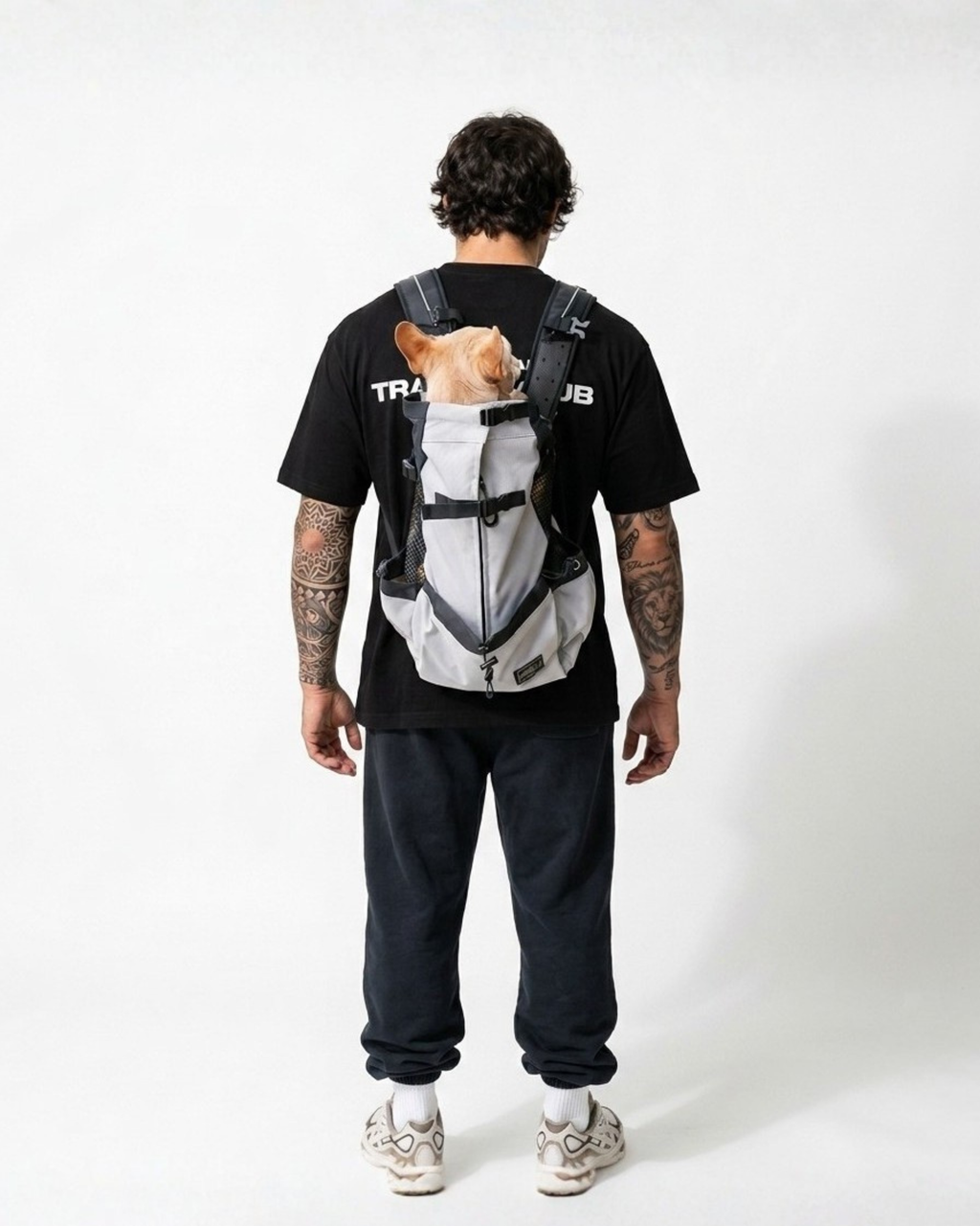 Dogs Carrier →