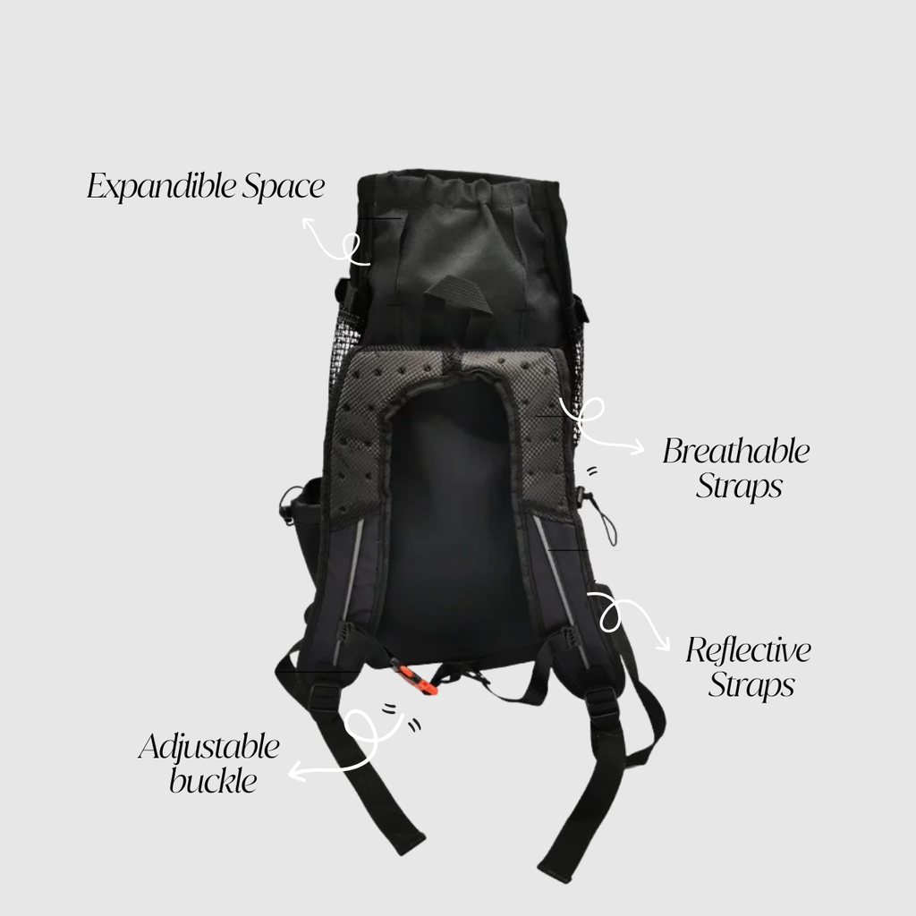 Dogs Carrier →