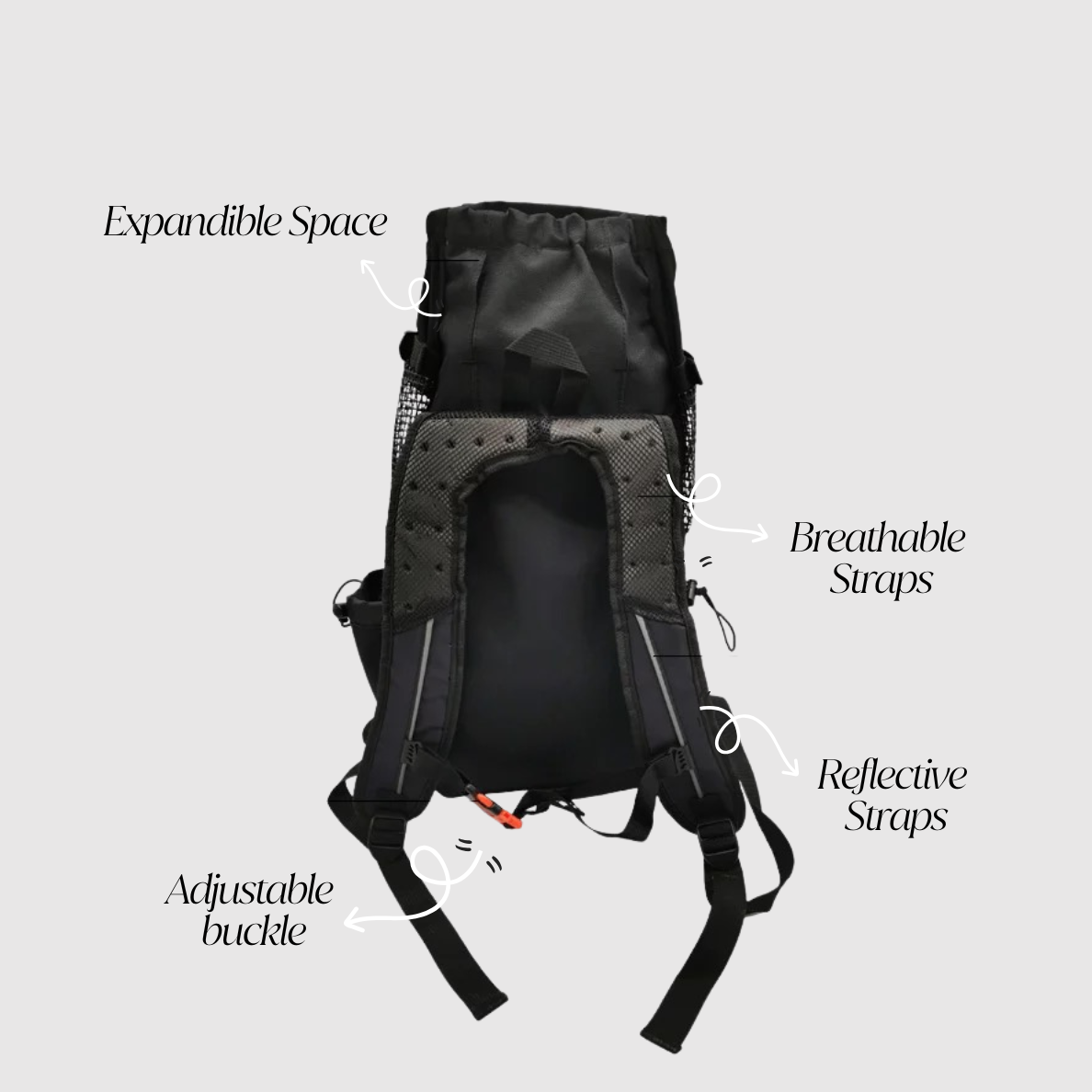 Dogs Carrier →